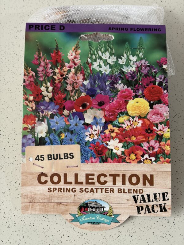 BULB SPRING SCATTER BLEND 45PK